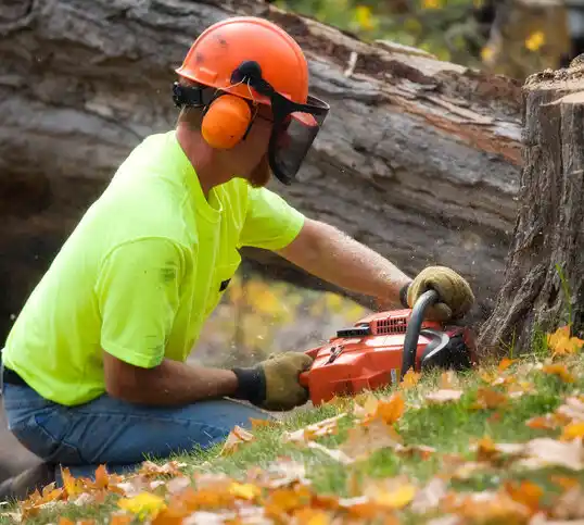 tree services Groesbeck